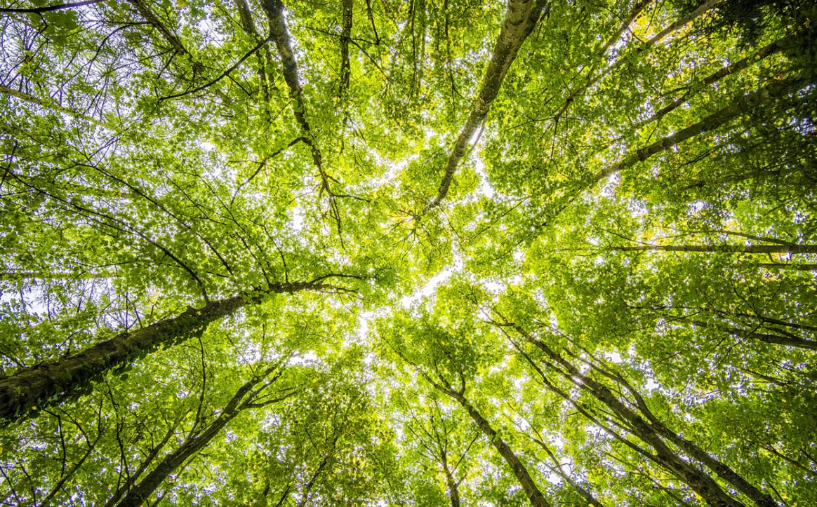 49 Sustainability efforts of the fashion industry in September 2021