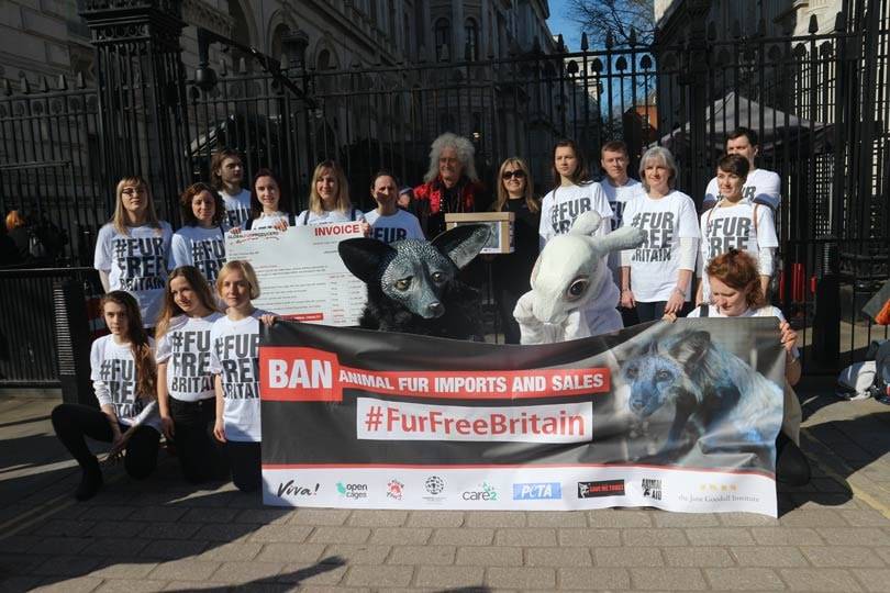 425,000 signatures delivered to No 10 calling for UK Fur-Trade Ban