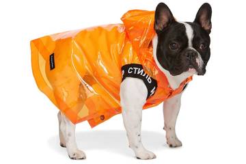 Online fashion platform Ssense launches dogwear