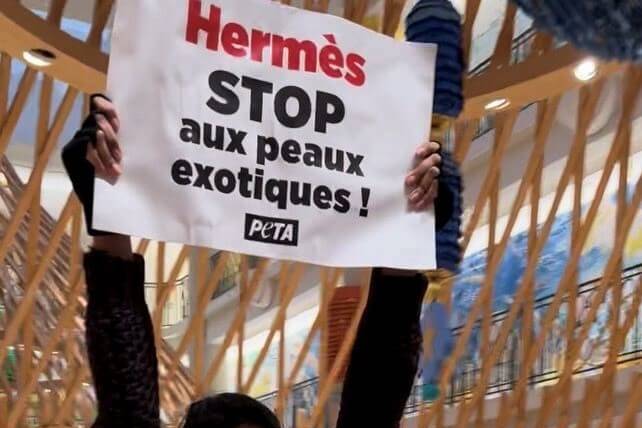 Peta attends Hermès meeting, calls for vegan bags; Dumas speaks of ‘ethical farms’