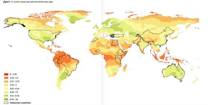 How climate change affects the luxury fashion industry