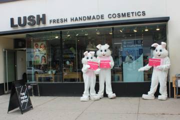 Canada bans animal testing and trade in cosmetics