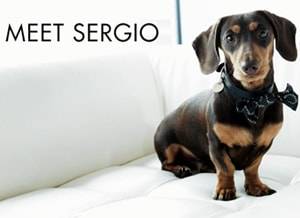 Sergio: LFW Shoe Hunter