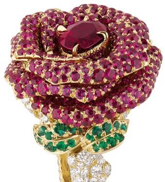 Christian Dior & Moi