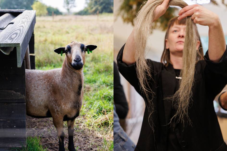 Wat de Fashion Farm mij leert
