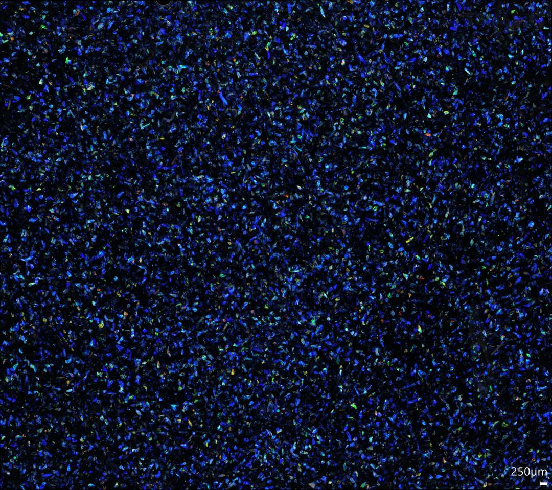 Sparxell plant-based colorant technology