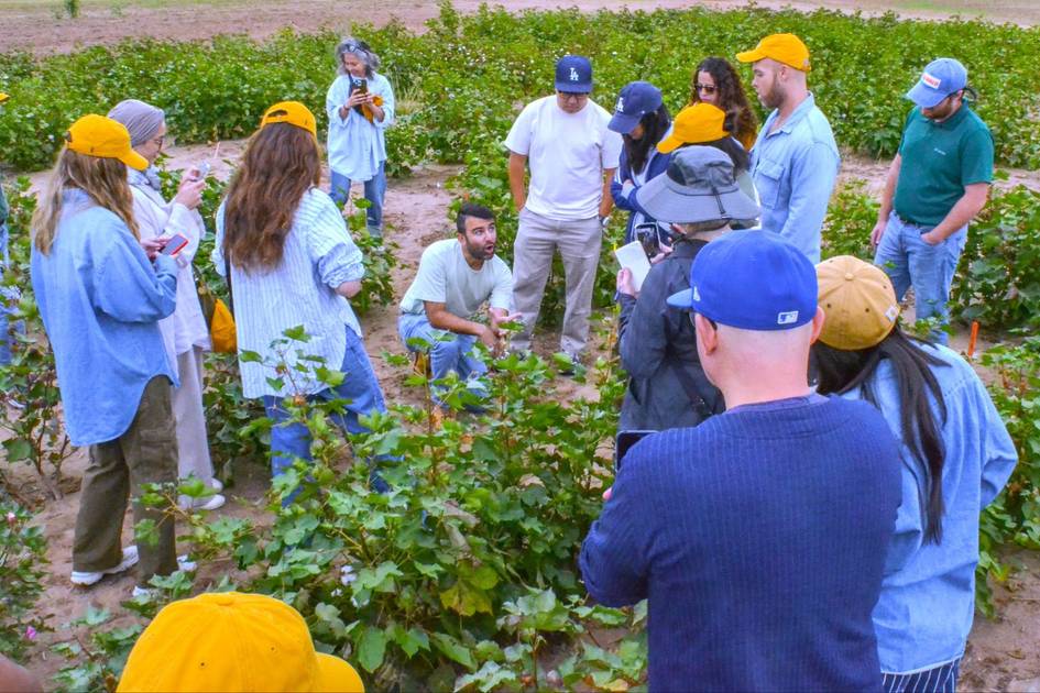 BCI partners with AI-powered Avalo to develop climate-resilient cotton