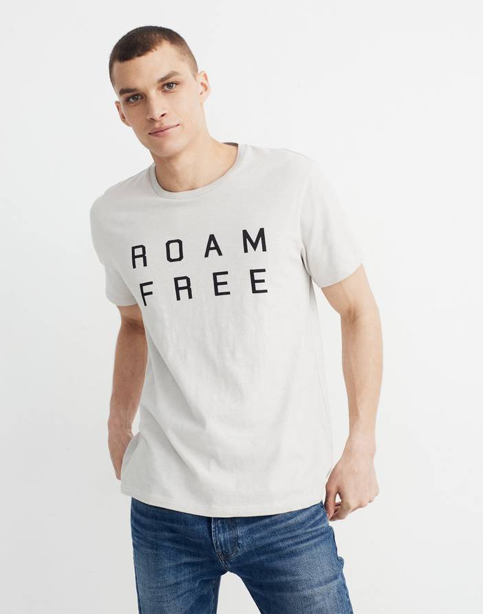 Roam Free Allday Crewneck Tee | Madewell