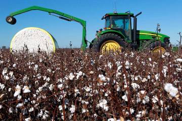 Le coton augmente sa superficie cultivable dans l'hémisphère sud