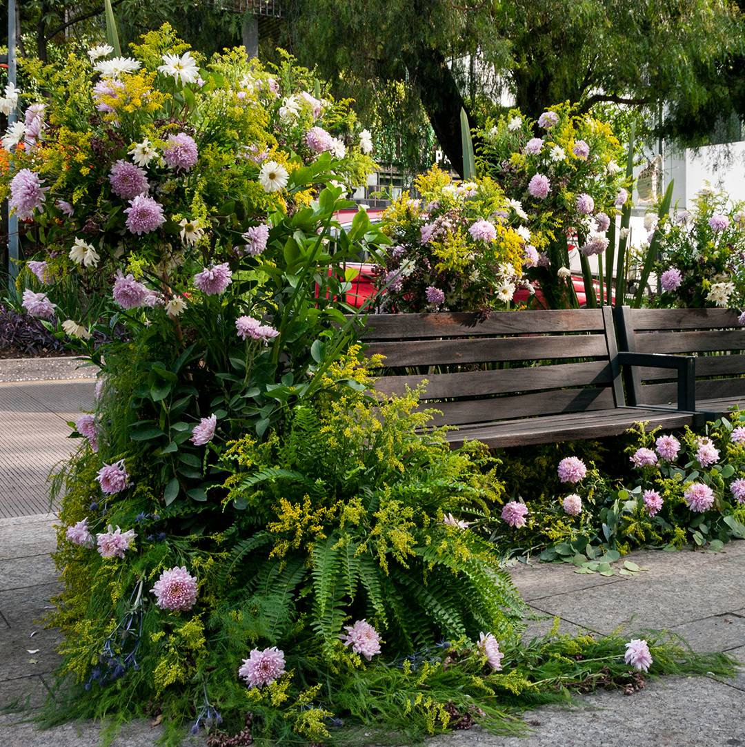 Even the benches were dressed in colour during the
flower festival in CDMX. (Photo: FYJA)