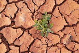 Podcast: Hoe de mode-industrie de klimaatimpact kan aanpakken