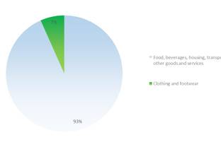 Fashion Statistics Brazil