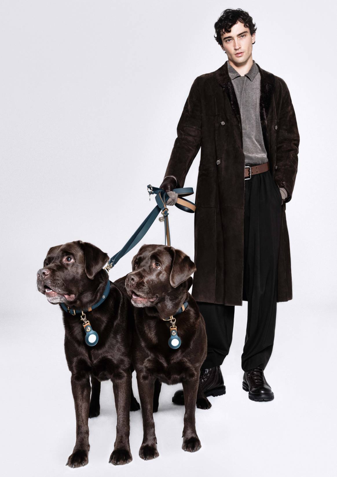 Giorgio Armani x Poldo Dog Couture