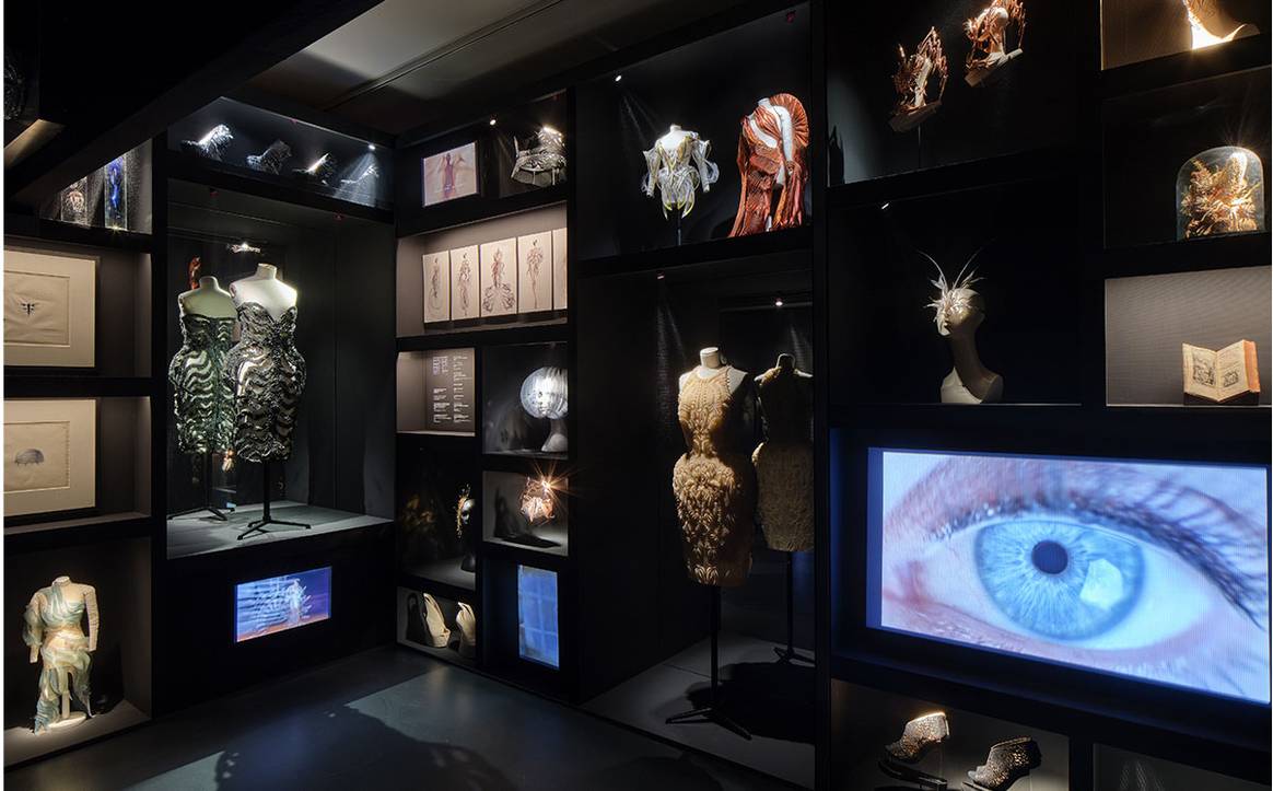 Cabinet des curiosités. Exposition Iris van Herpen