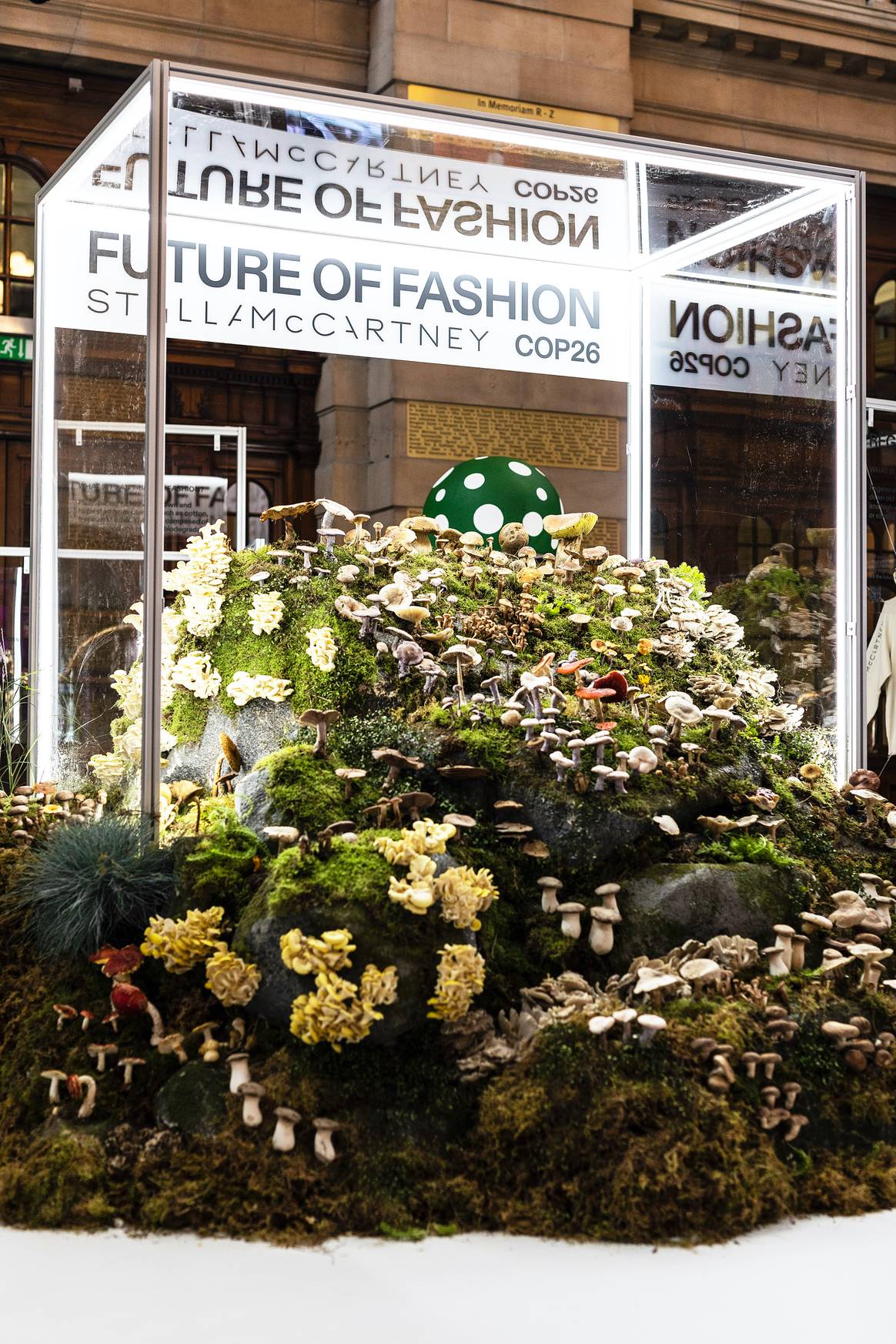 Image: courtesy of Stella McCartney