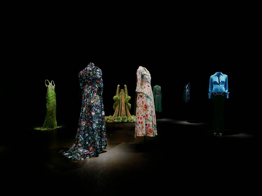 Gucci Story