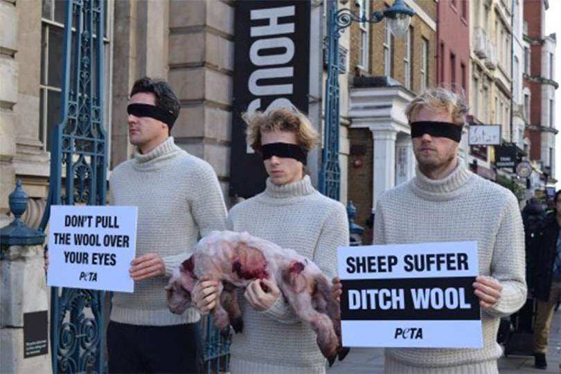 Peta urges menswear designers to not pull 'the Wool' over their Eyes