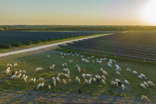 H&M Group partners with Lightsource bp to build solar farm in Texas