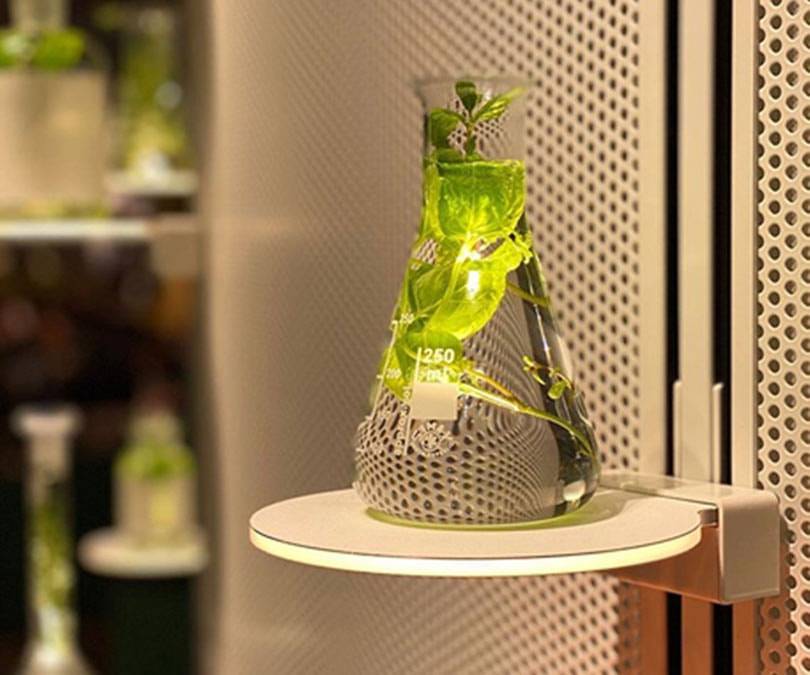 Магазин будущего: тренды выставки EuroShop