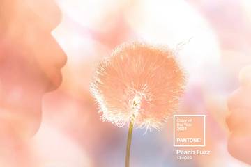 E' il Peach fuzz il colore Pantone del 2024