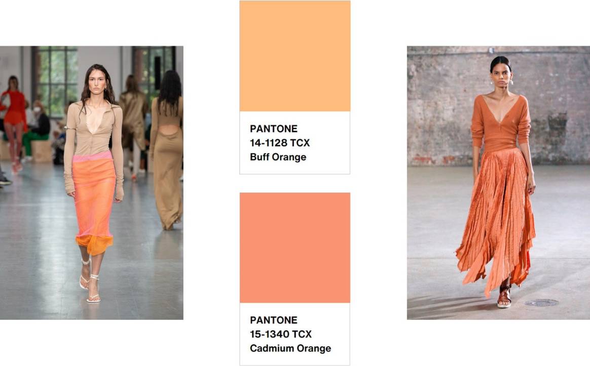 Image credit: Pexels, and Altuzarra SS21 and Sportmax SS21 via Catwalkpictures