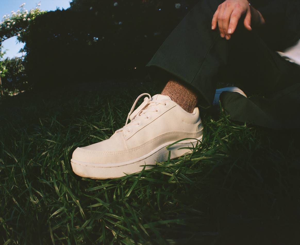 Image: Allbirds