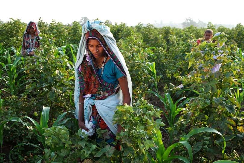 C&A: “Dit cradle to cradle T-shirt wordt in 11 weken weer compost”