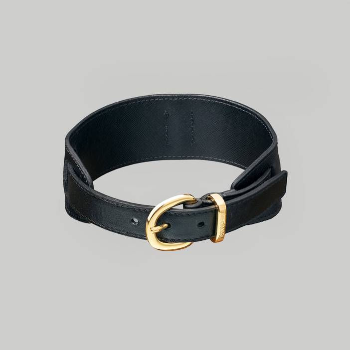 Dog collar in black Saffiano leather with Gold | MEOMARI