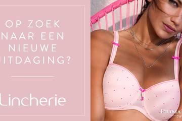 Lincherie (Van de Velde) is op zoek naar een District Manager Noord-Holland