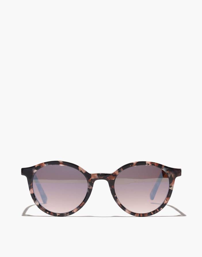 Layton Sunglasses | Madewell