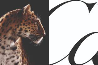 Cartier celebrates the panther in style under the open sky 