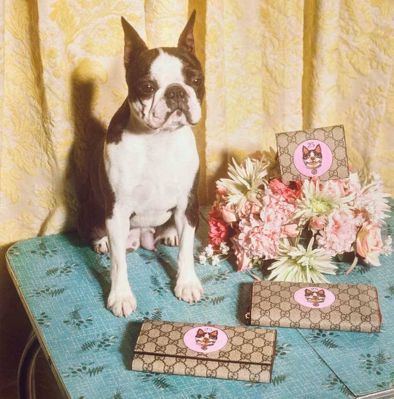 Gucci marks the Year of the Dog with a special capsule collection