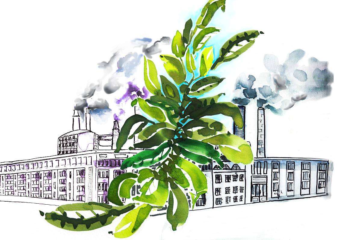 Greenwashing. Illustration: Jackie Mallon für FashionUnited