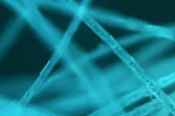 LVMH, Fendi links with research labs to develop new biomaterials