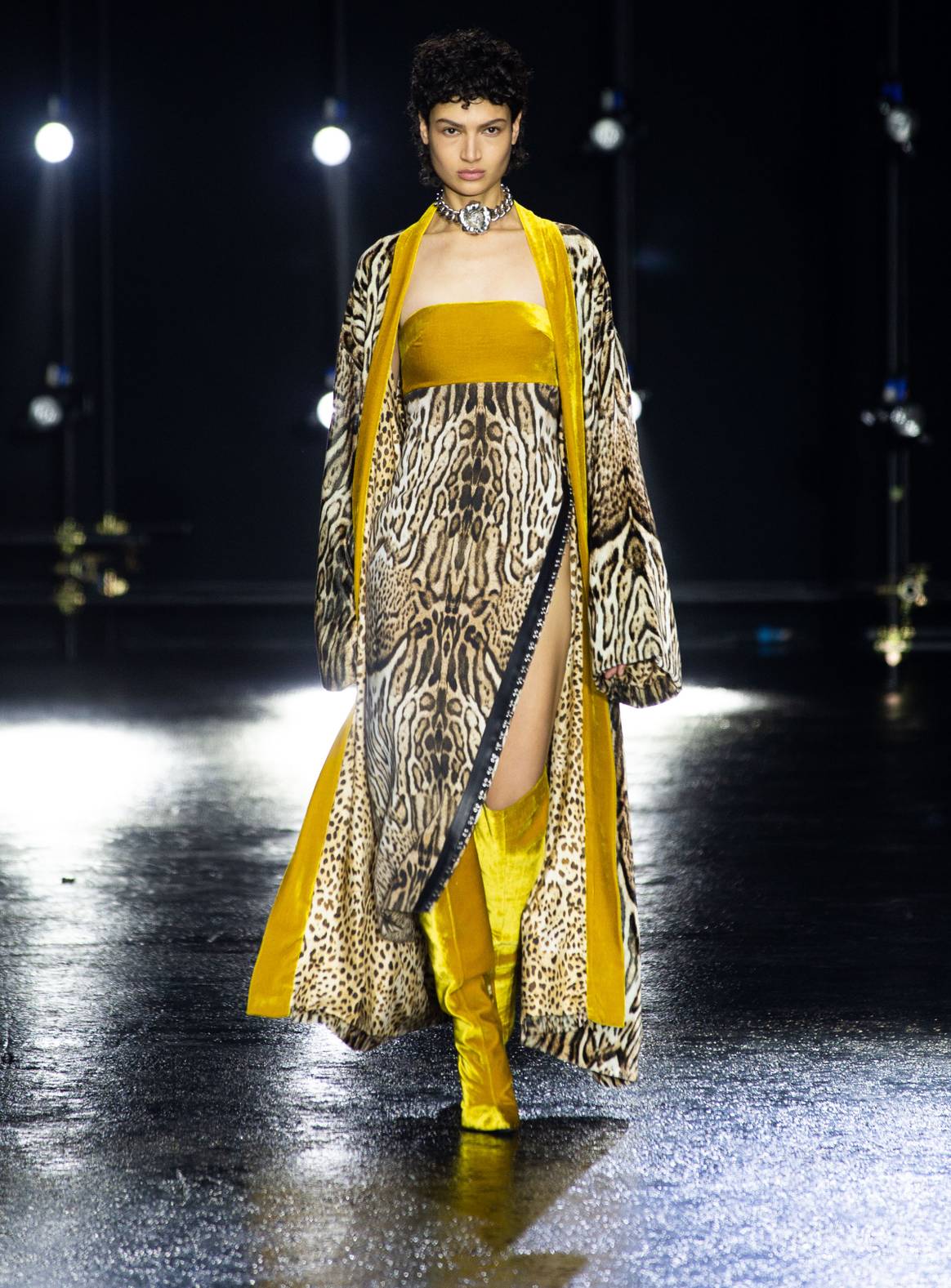 Roberto Cavalli: Women's Collection Fall/Winter 2022-23