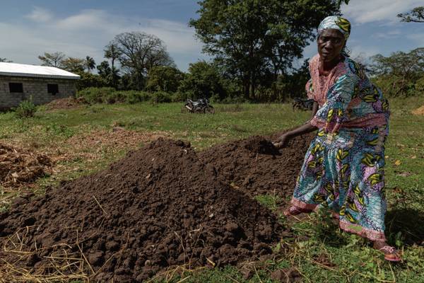 Aid by Trade Foundation completes 2.8 million euro project for climate-resilient agriculture in Africa