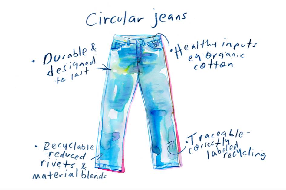 Jeans Redesign Project.