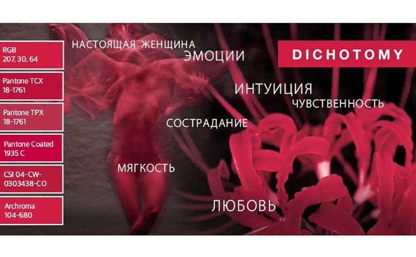 10 макро-цветов 18/19 (Часть 1)