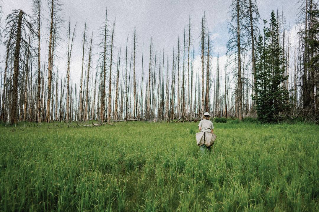 Oasi Zegna Global Initiatives environmental conservation project from Zegna - Lake Christine, Aspen