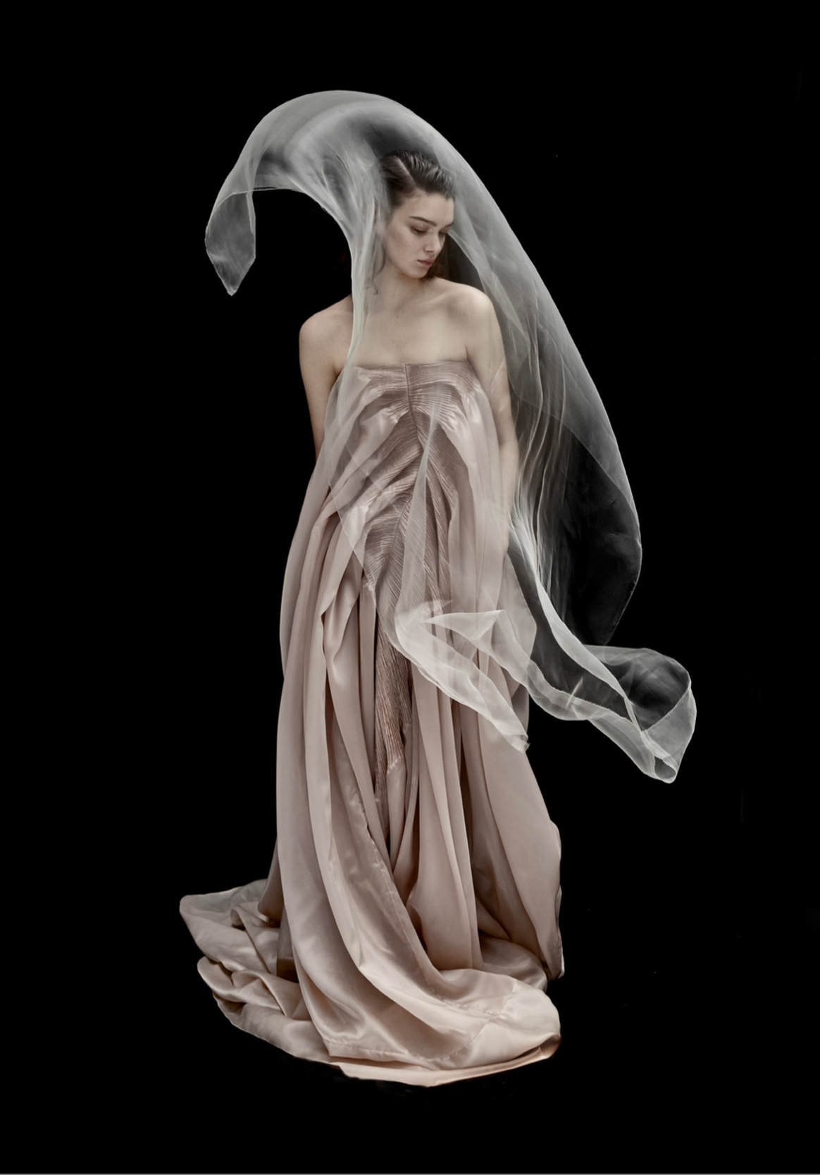 . Collection haute couture printemps-été 2016 Blooming Ashes.