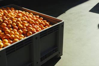 Marc O’Polo bringt als erste Marke Denim aus Orange Fiber
