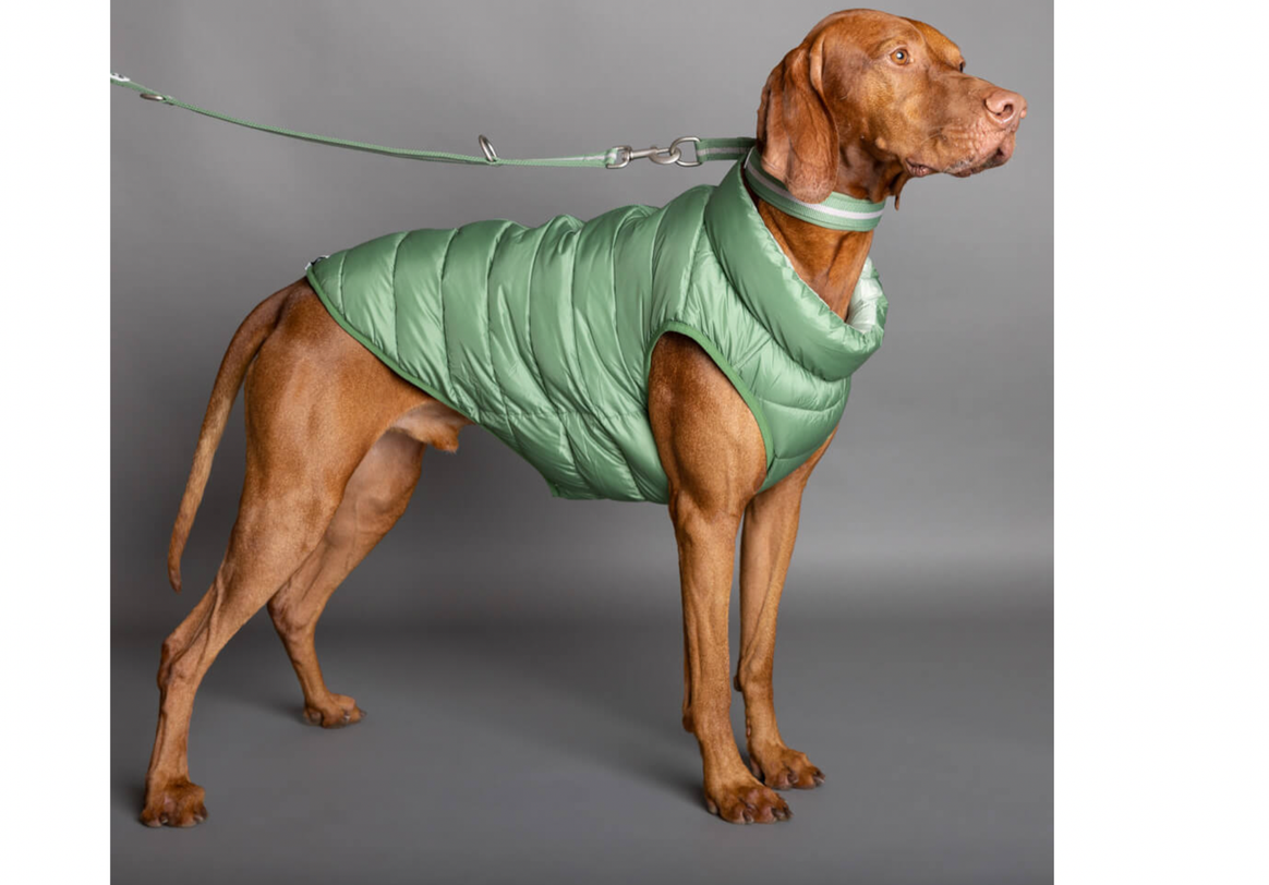 Winterfeste Wendejacke für Hunde in Ulmengrün. Bild: Snoot Style