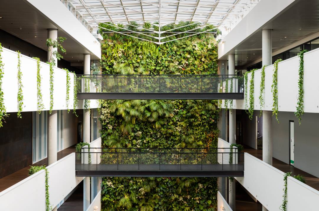 Il giardino verticale