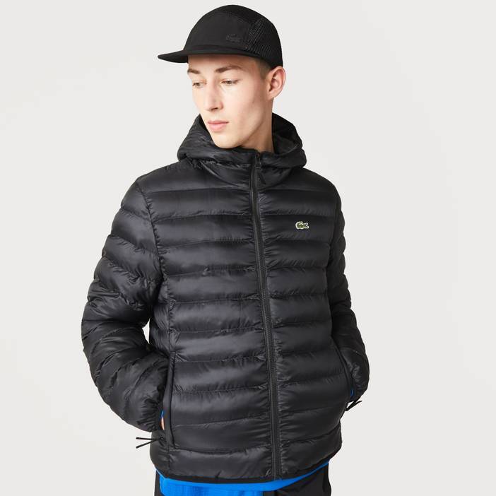 Herren Lacoste Steppjacke mit Kapuze | Lacoste