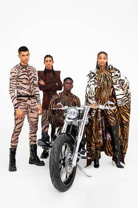 Collection image Roberto Cavalli