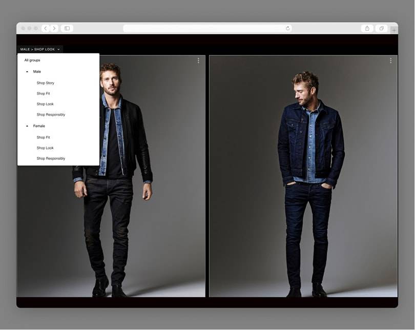 Macaque in the trees