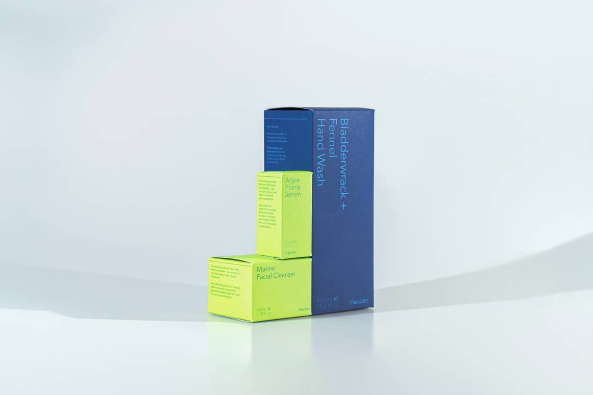 Image: Haeckels