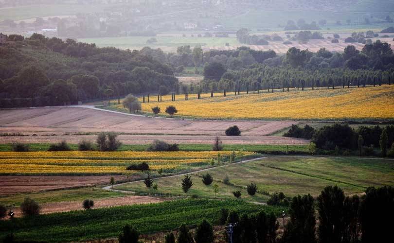 Brunello Cucinelli, entrepreneur italien mécène en son village