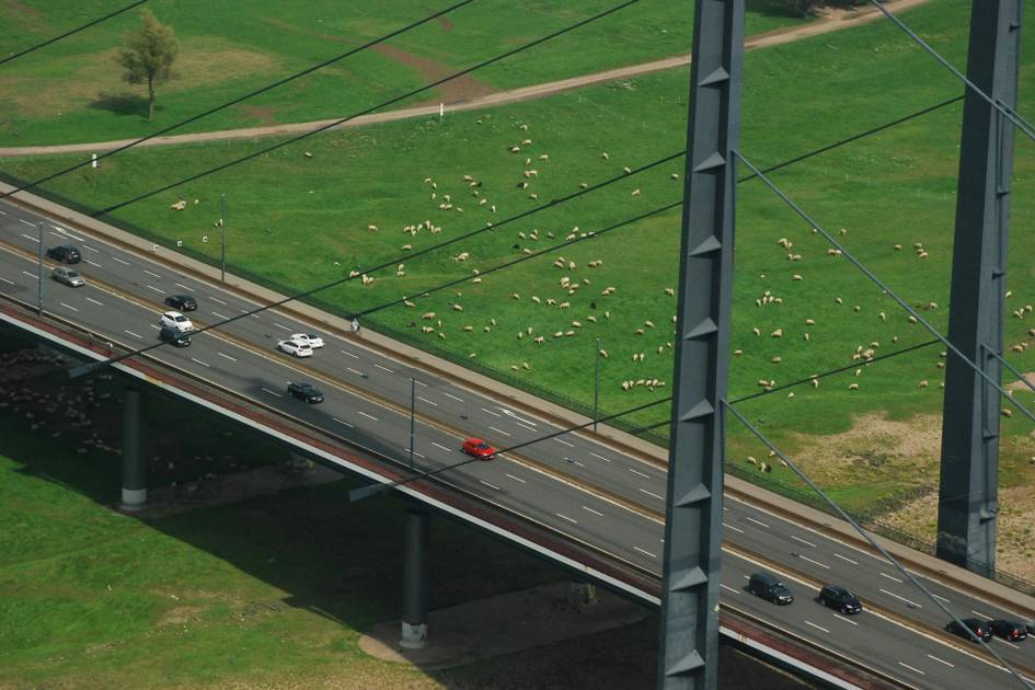 garn-von-den-rheinwiesen-d-sseldorfer-zukunftspreis-geht-an-rh-ool-yarn