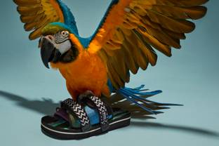 Missoni kooperiert für sommerliche Sandalen mit Suicoke